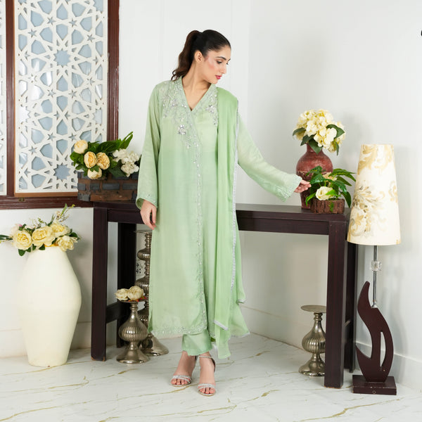 WS-447 (Olive Green)
