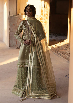 SQZ-2494 (Olive Green)